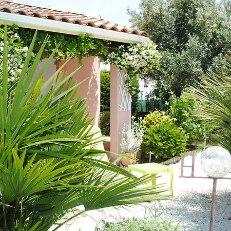 Les Cypres Florentins