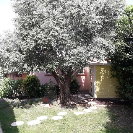 Les Cypres Florentins *