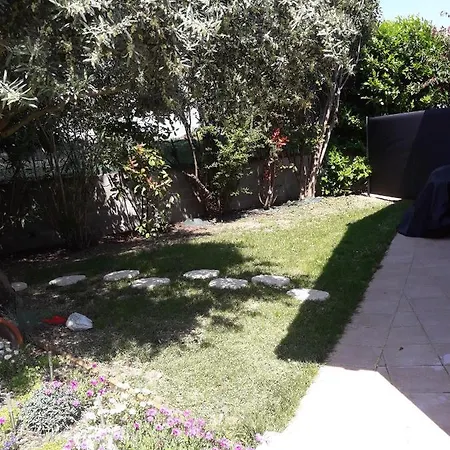 Les Cypres Florentins